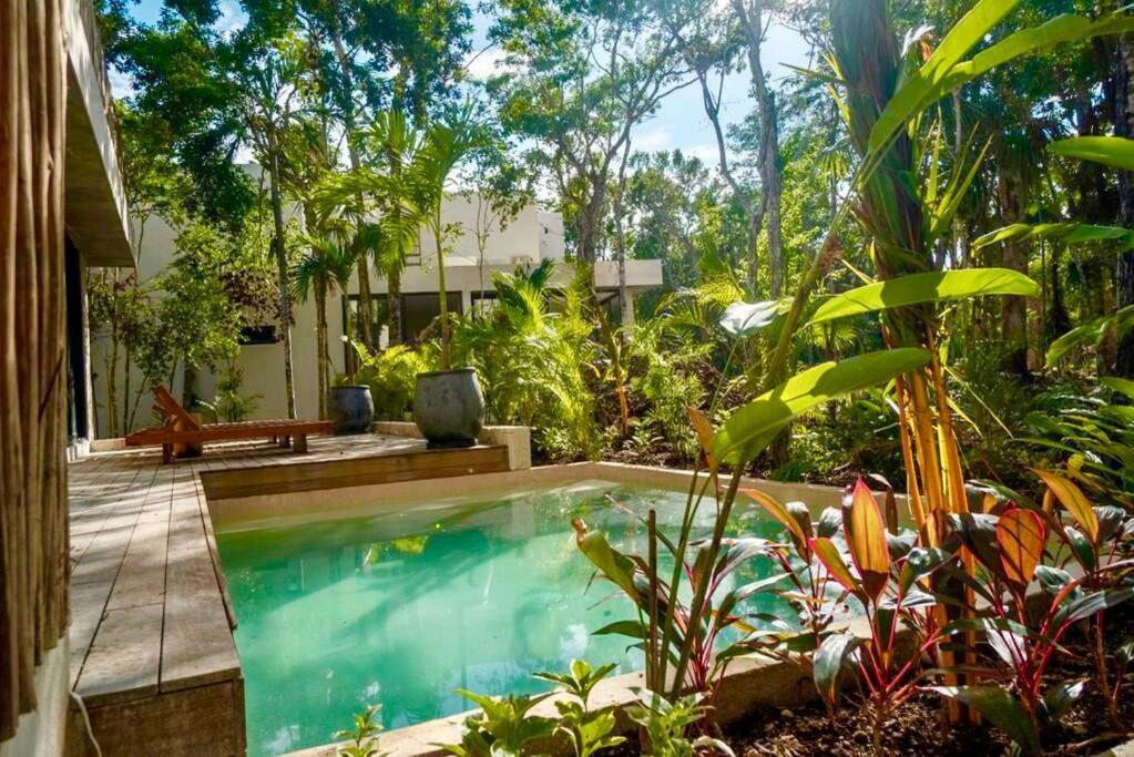 Villa Xuncari In The Heart Of The Jungle 툴룸 외부 사진